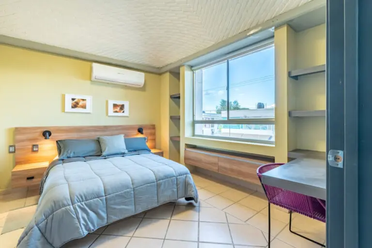 67875 249212 g8KEPtVd8U4ujpdV8jQgAdW8Ir0GN8hRF5xT9ulMmes 65e777370fe7f.jpg