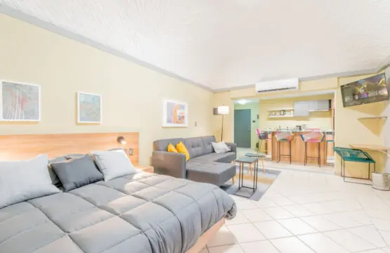 67875 249213 AAKWjVDMUewBClGNNJWb3HA26IILNt5KTNhCfwl9UVk 65e792ddd5acc.jpg