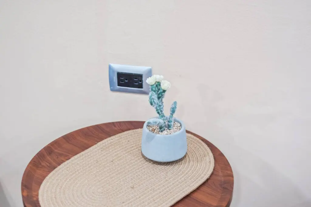 67875 394052 3mkDt6Ygf6Qy1bghXal TYzuURXIeMbZfmJVoSY91k8 682e3b1c3e2c2.jpg